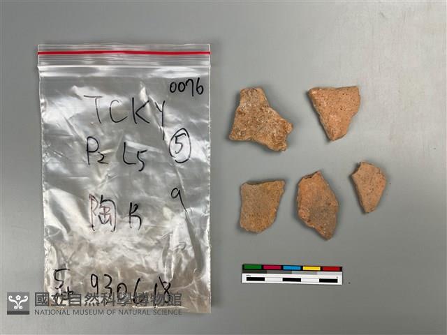 陶片藏品圖，第2張