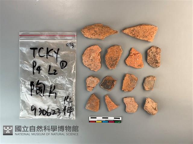 Accession Number:TCKY0163 Collection Image, Figure 2, Total 2 Figures