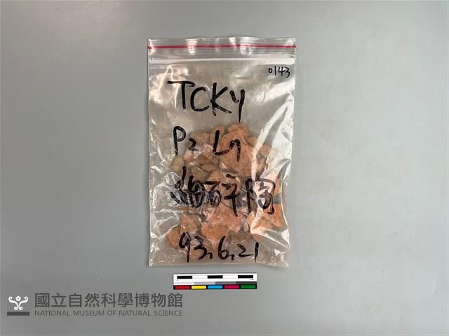 陶片藏品圖，第1張