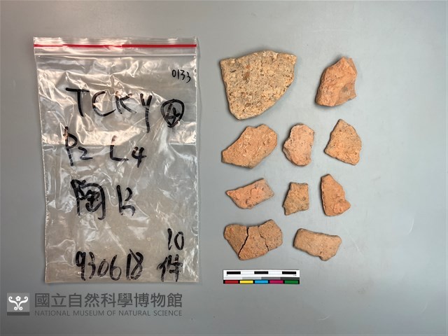 陶片藏品圖，第2張