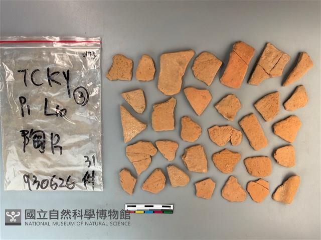 陶片藏品圖，第2張