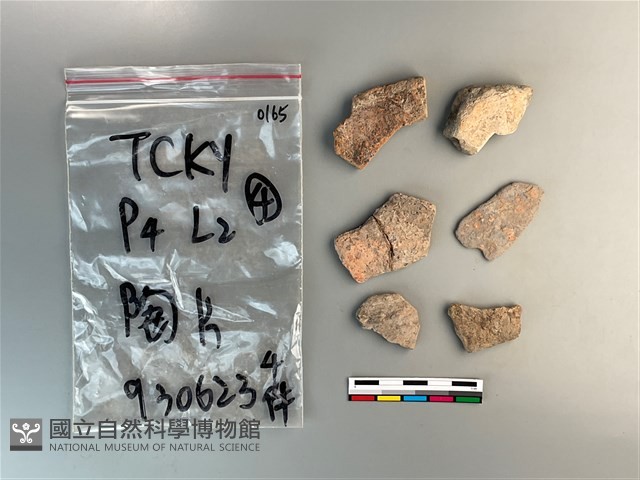 陶片藏品圖，第2張