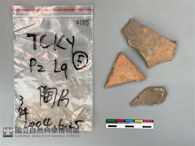 陶片藏品圖，第2張