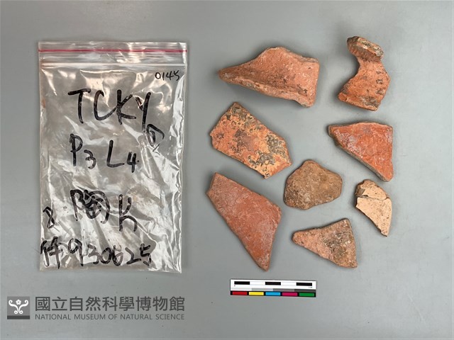 陶片藏品圖，第2張