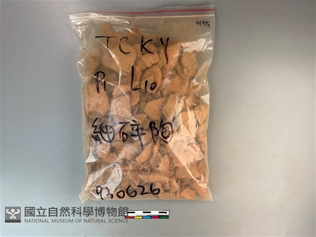 陶片藏品圖，第1張