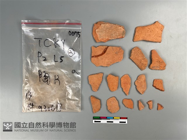 陶片藏品圖，第2張