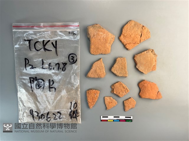 陶片藏品圖，第2張