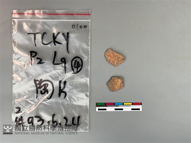 陶片藏品圖，第2張