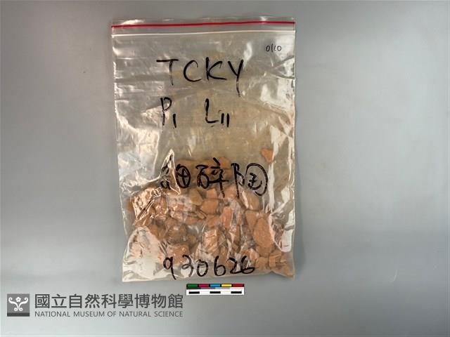 陶片藏品圖，第1張