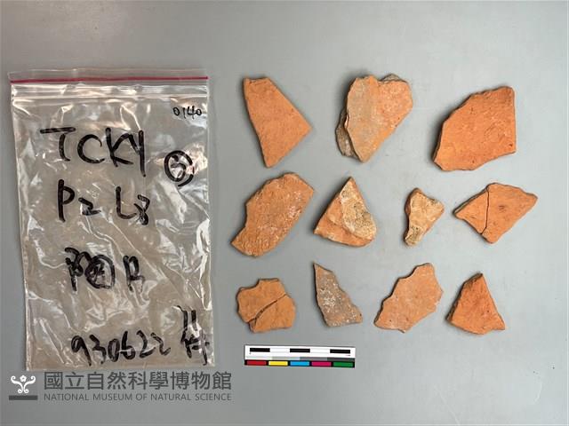 陶片藏品圖，第2張