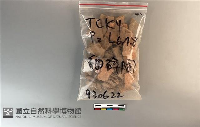 陶片藏品圖，第1張