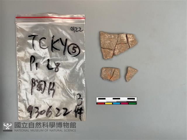 陶片藏品圖，第2張