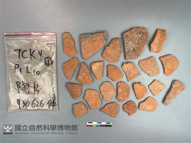 陶片藏品圖，第2張