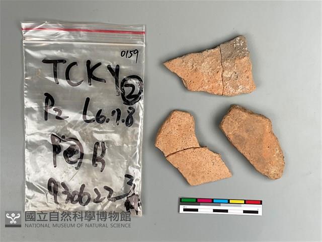 陶片藏品圖，第2張