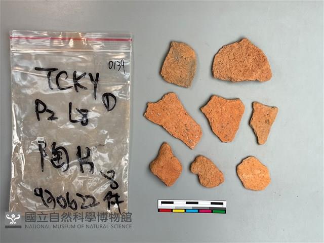 陶片藏品圖，第2張