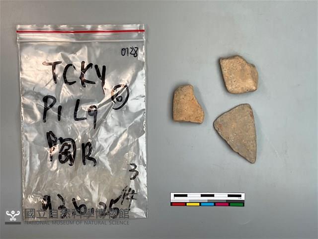 陶片藏品圖，第2張