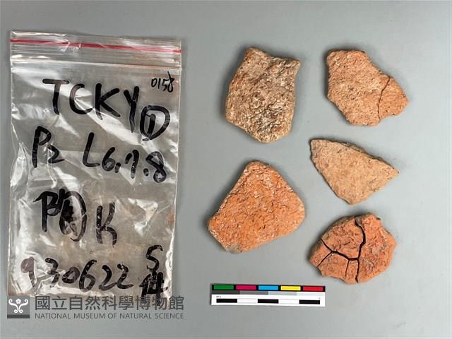 陶片藏品圖，第2張