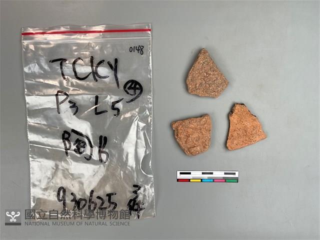 陶片藏品圖，第2張