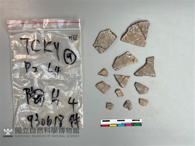 陶片藏品圖，第2張