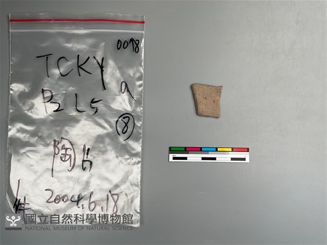 陶片藏品圖，第2張