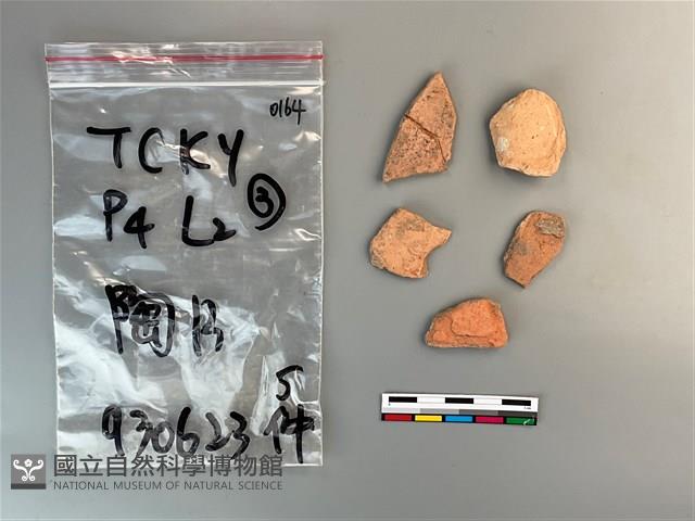 陶片藏品圖，第2張