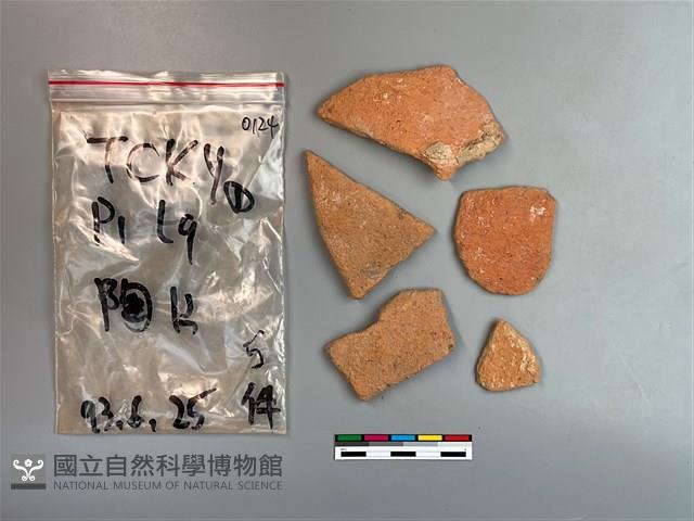 陶片藏品圖，第2張