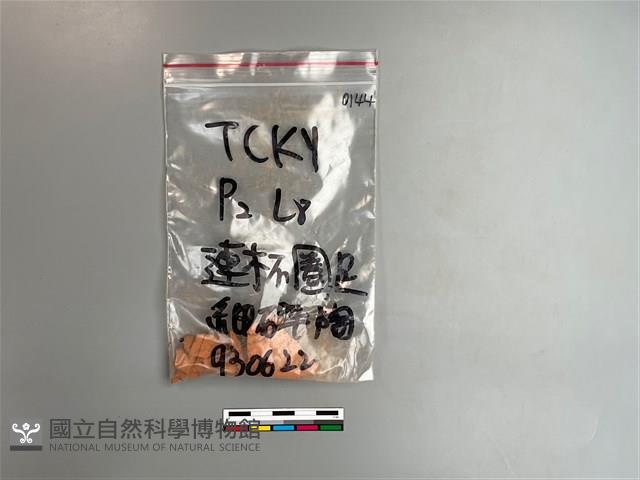 陶片藏品圖，第1張