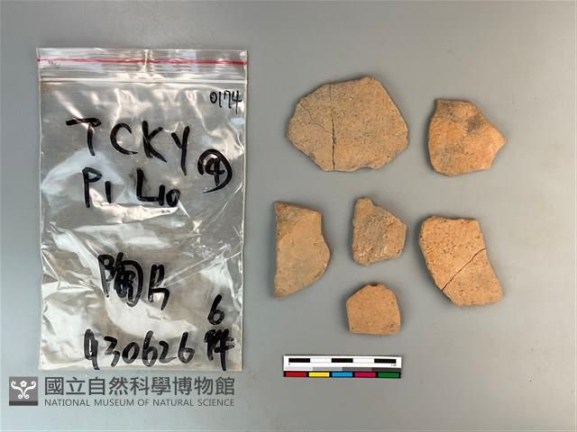 陶片藏品圖，第2張