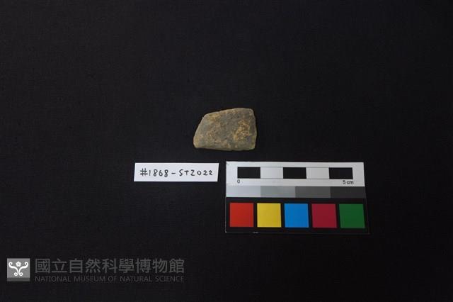 陶片藏品圖，第1張