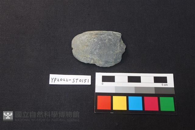 磨製石器殘件藏品圖，第1張