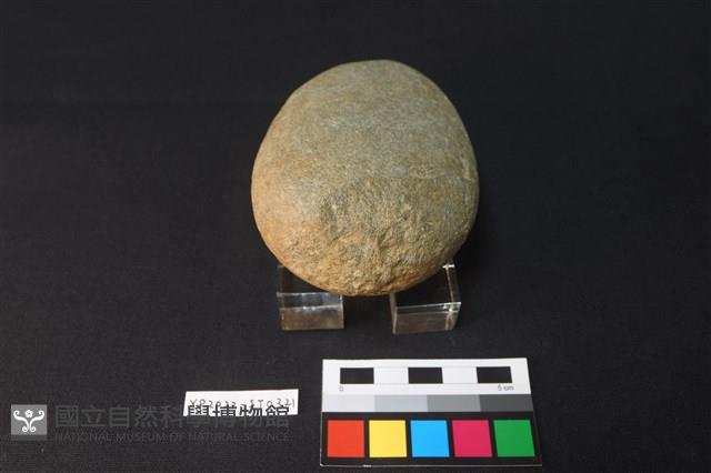 石錘藏品圖，第1張