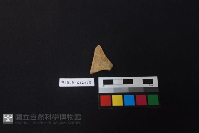 陶片藏品圖，第1張