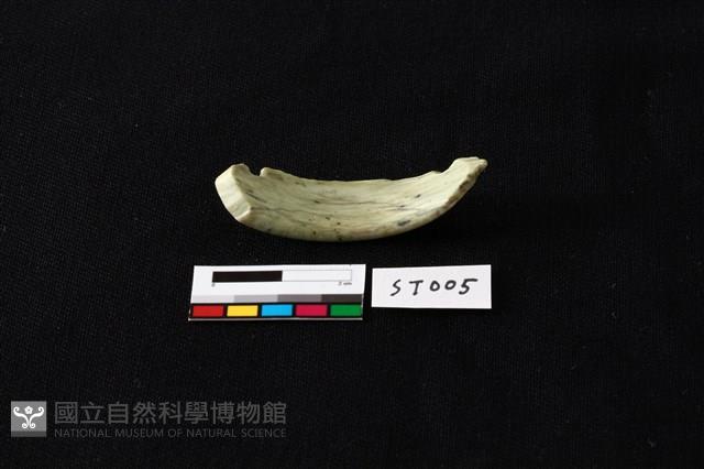 玉環藏品圖，第1張