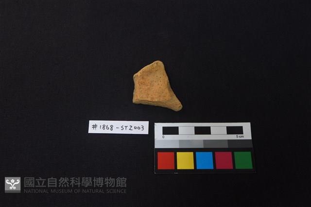 陶片藏品圖，第1張