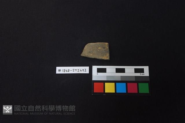 陶片藏品圖，第1張