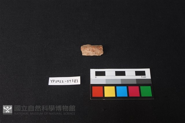 不明石器藏品圖，第1張