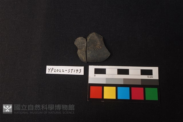 磨製石器殘件藏品圖，第1張
