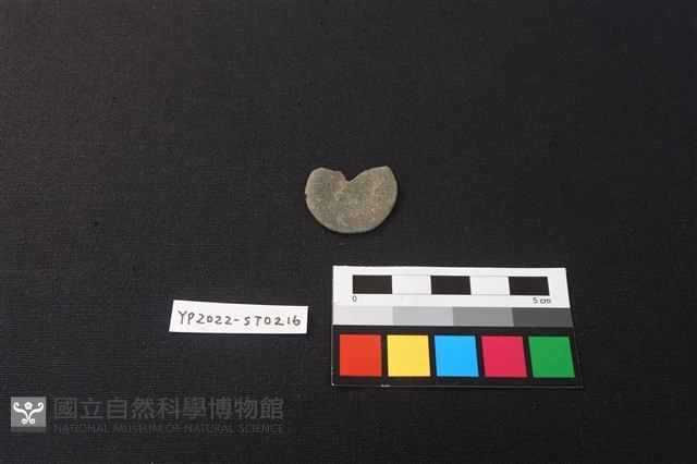 磨製石器殘件藏品圖，第1張