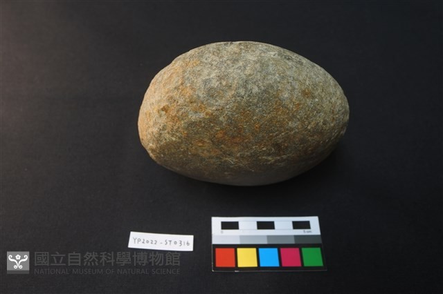石錘藏品圖，第1張