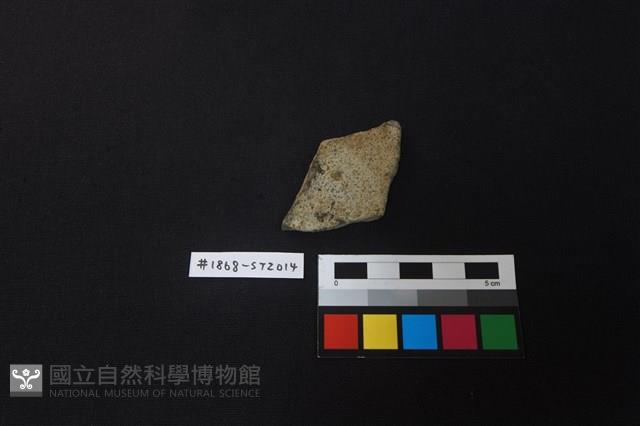 陶片藏品圖，第1張