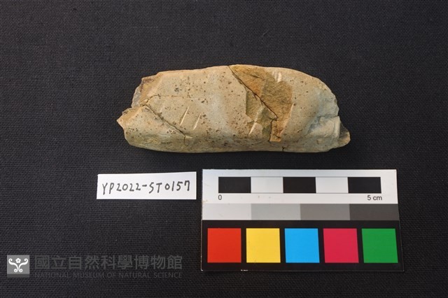 磨製石器殘件藏品圖，第1張