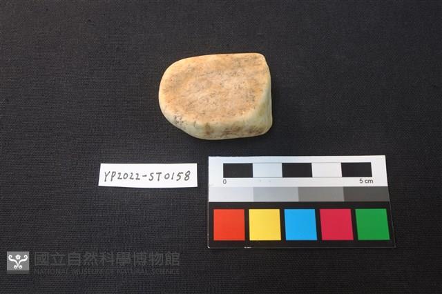 磨製石器殘件藏品圖，第1張