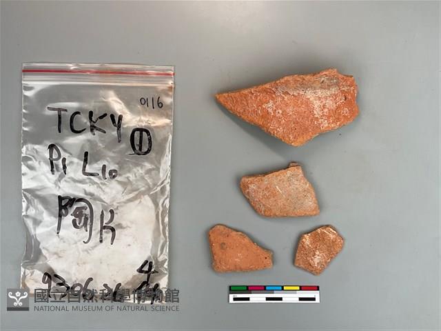 陶片藏品圖，第1張