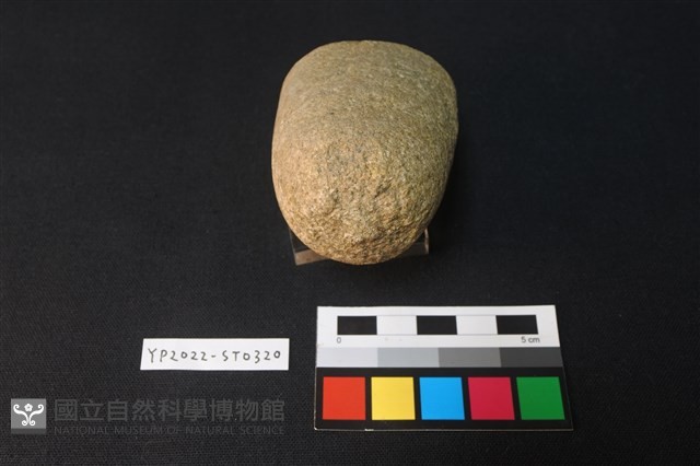 石錘藏品圖，第3張