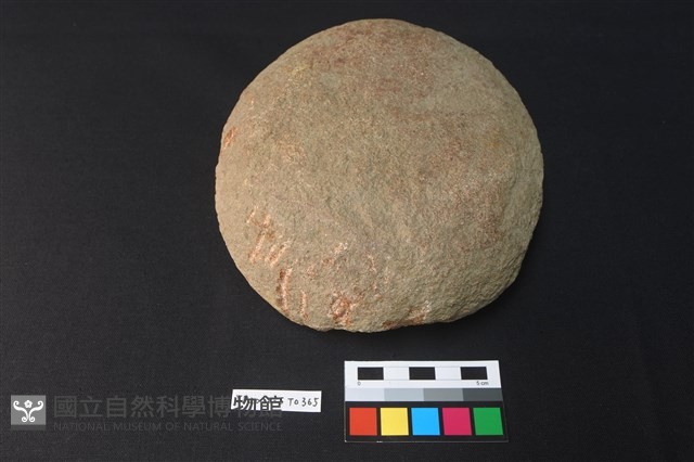 石蓋未成品藏品圖，第3張