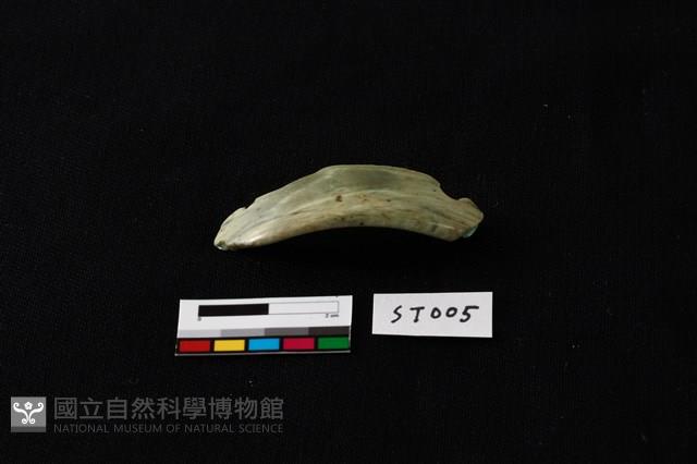 玉環藏品圖，第3張