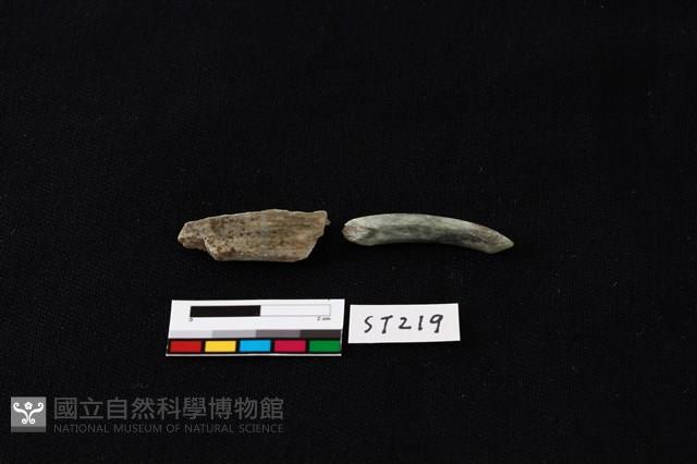 玉環藏品圖，第3張