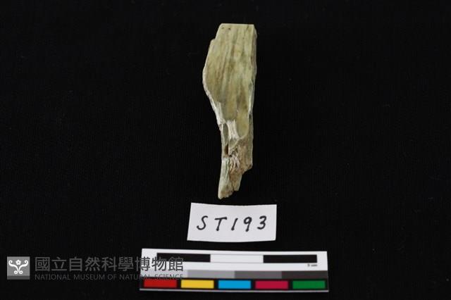 玉錛藏品圖，第3張