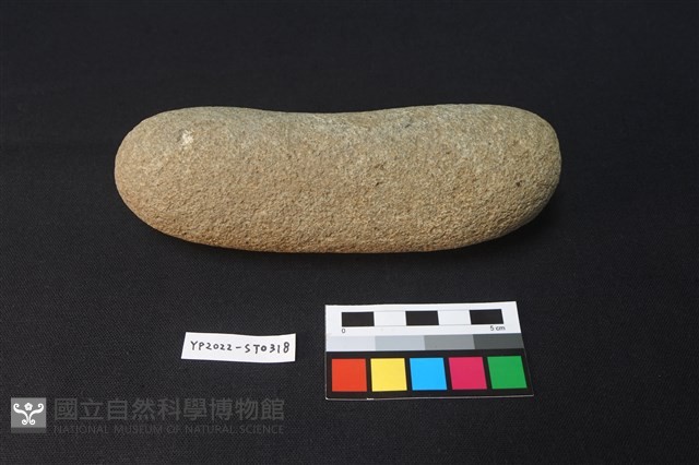 石錘藏品圖，第3張