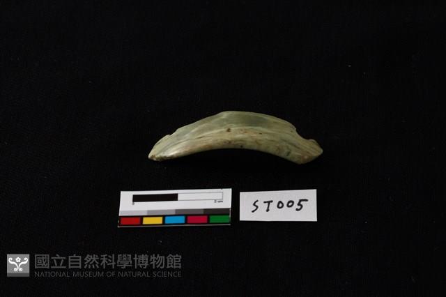 玉環藏品圖，第5張